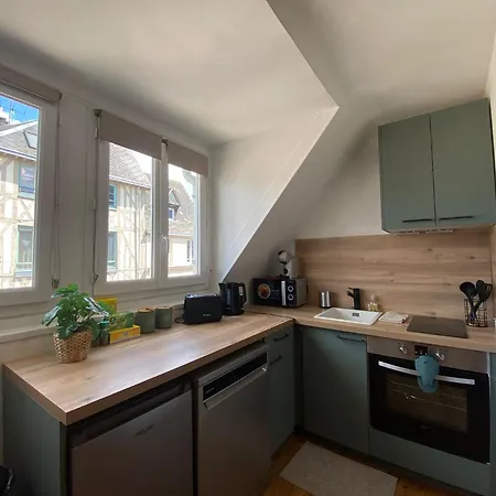 Appartement L'ecrin De Verdure -334 Rouen